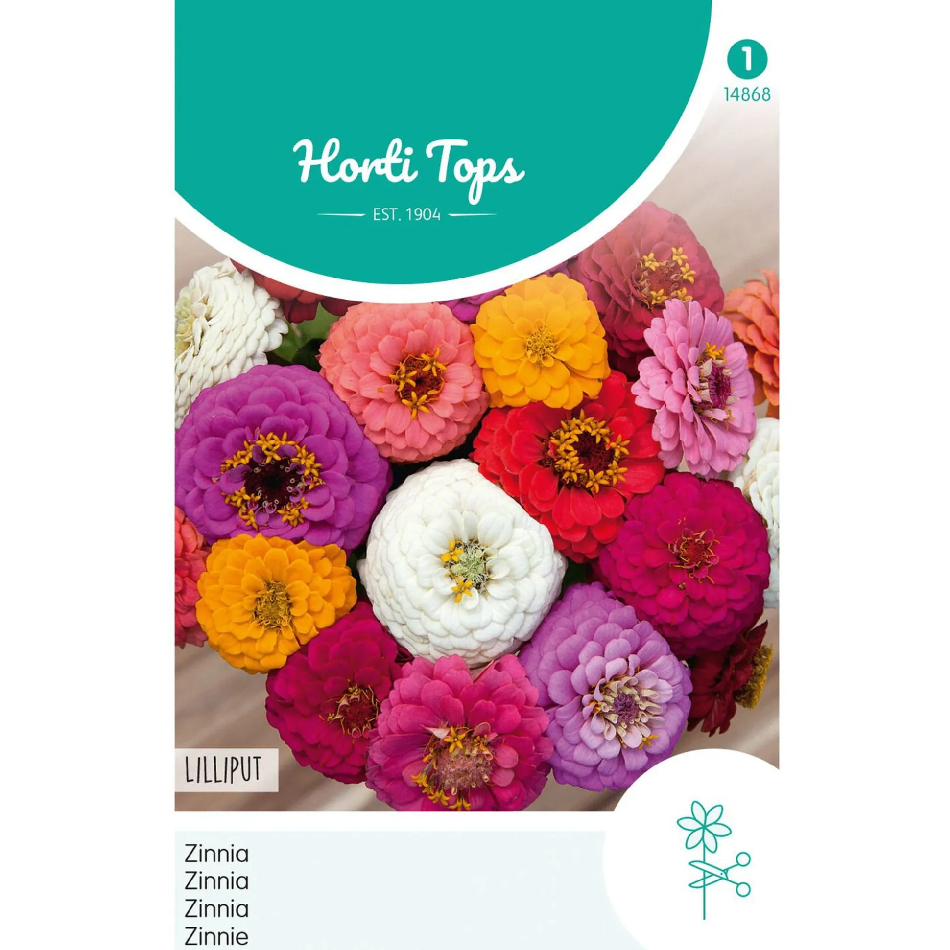 Zinnia Liliput mix