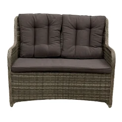 2-zits bank Ricci willow grey met kussen